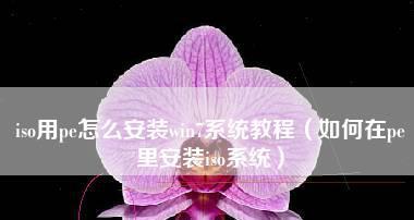使用PE安装ISO原版系统教程（通过PE环境安装ISO原版系统的详细步骤和注意事项）