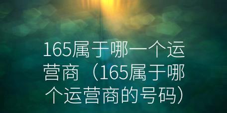 电信虚拟运营商（突破传统，以创新和灵活性赢得市场）