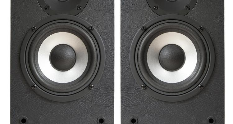 Win10电脑扬声器没声音解决方法（详解Win10电脑扬声器无声的原因和解决方案）