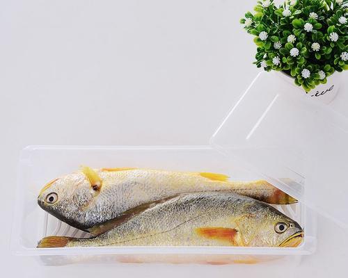 ExploringthePotentialIncomeofFishbowlEnglish