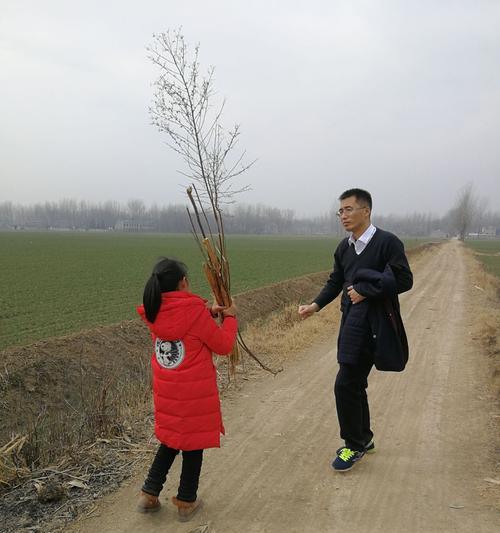 以拾柴火实验的力量为主题的探索与应用（拾柴火实验的原理、实验步骤及应用领域全解析）