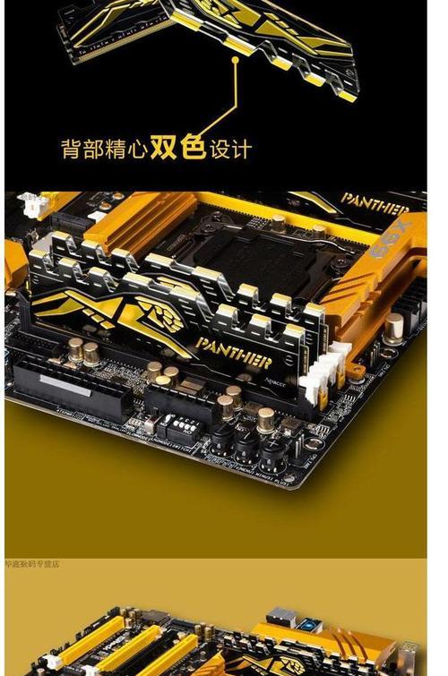 黑豹玩家（畅游游戏世界，尽享无限可能）