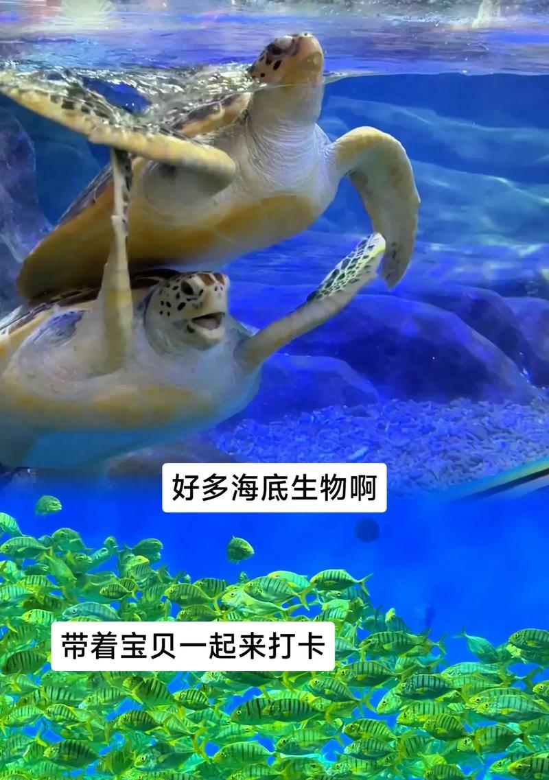 奇妙海底深处的生物（探索深海神秘世界）