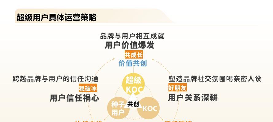 以用户运营发展为核心的商业成功之道（创造卓越用户体验，实现持续增长）