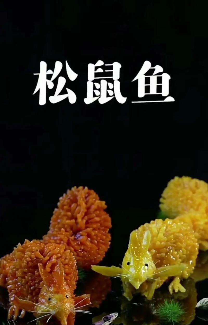 2108S松鼠轴（一起来了解这款松鼠轴的特点与优势）