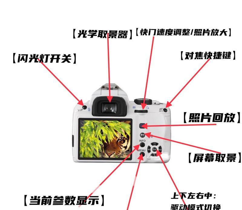如何正确擦拭单反镜头？（掌握关键技巧，保护您的相机设备）