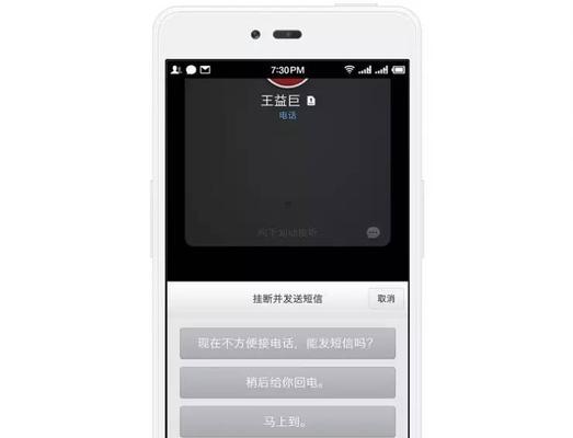 锤子手机系统的优势与特点剖析（全面优化的锤子系统给用户带来了什么？）