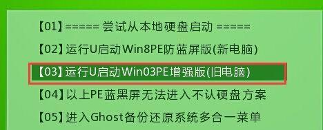 Win2003PE教程（通过Win2003PE教程，轻松学习Win2003PE的基础知识和高级应用技巧）