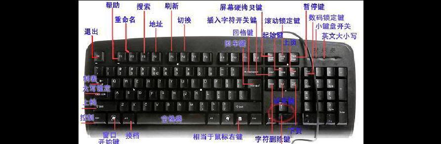 电脑键盘识别教程（从零开始学习电脑键盘的识别及使用技巧，轻松掌握快捷操作）