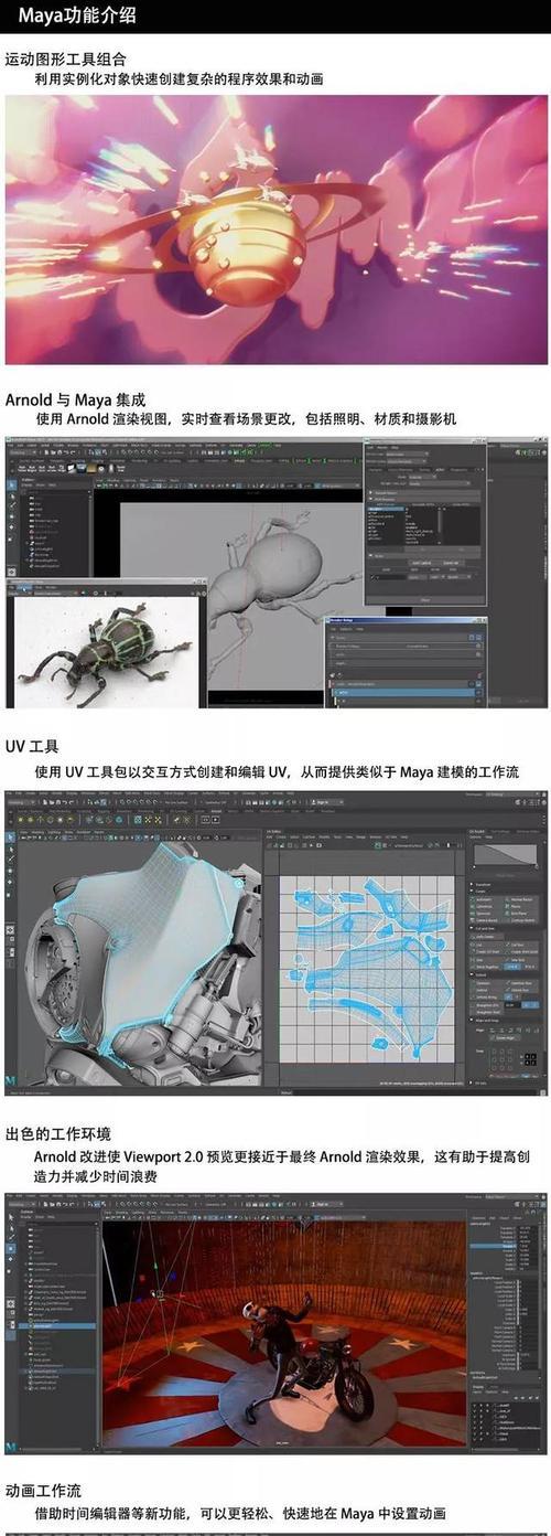 大神电脑模型教程（从零基础到高级技巧，轻松掌握模型制作技巧）