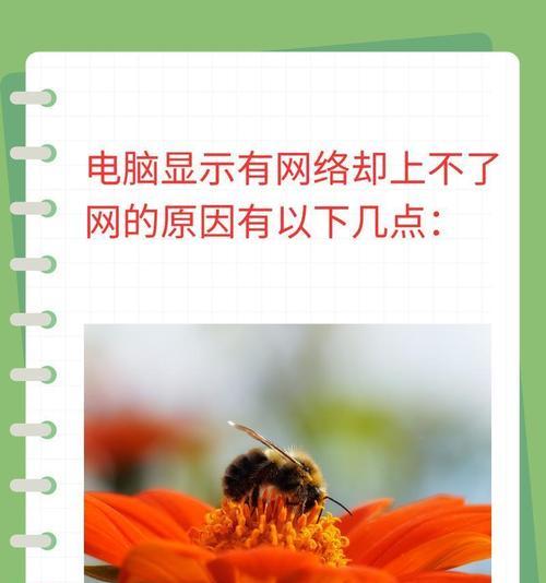 电脑网线连接显示错误的解决方法（排查和修复电脑网线连接显示错误的实用技巧）